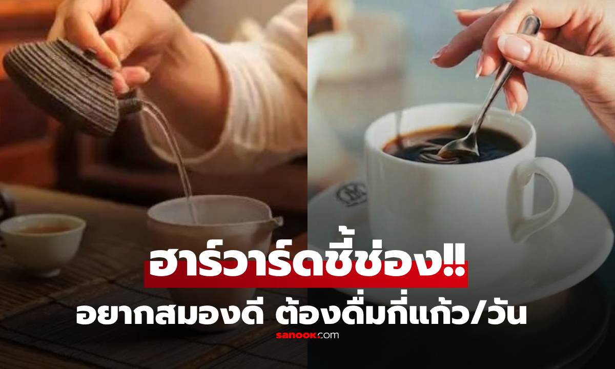 ฮาร์วาร์ดชี้ช่อง ดื่มชา-กาแฟ "กี่แก้วต่อวัน" หนีสมองเสื่อมได้จริง วิจัยค้นพบปริมาณแล้ว!!