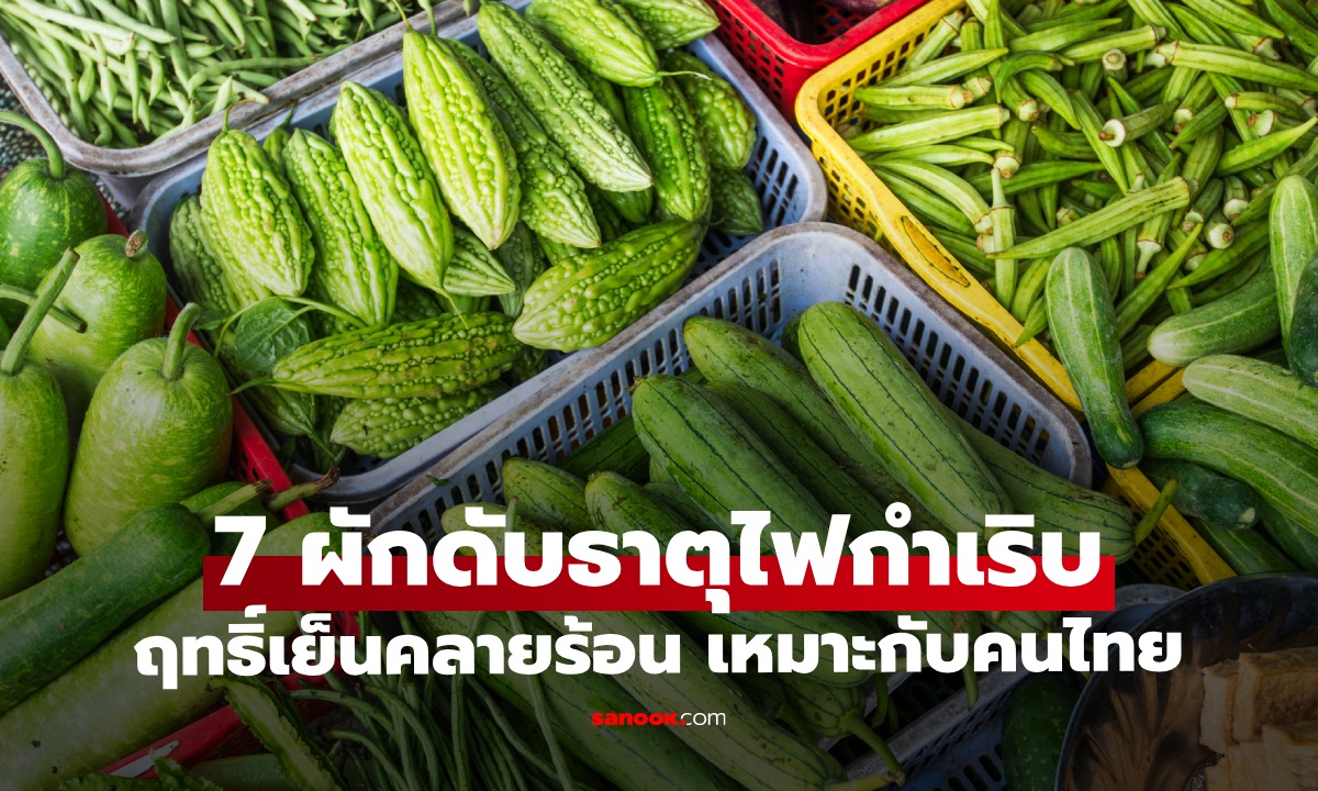 7 ผักฤทธิ์เย็น ดับธาตุไฟกำเริบ พืชพื้นบ้านคลายร้อนเหมาะกับคนไทย