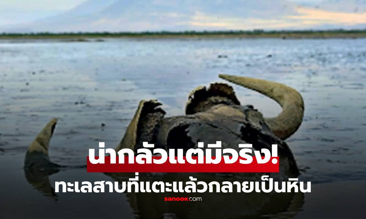 มีจริงบนโลก! ทะเลสาบที่ "เปลี่ยน" สิ่งมีชีวิตทุกชนิด ให้กลายเป็นหินในพริบตา