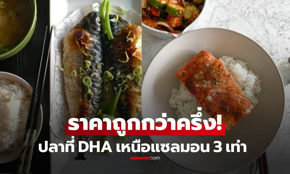 รู้แล้วเสียดาย! ปลาไทยๆ ที่โปรตีนและ DHA 