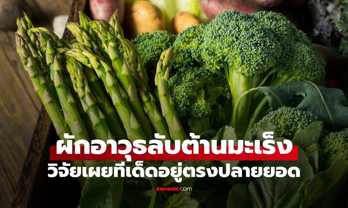 เปิดวิจัยผัก 1 ชนิด อาวุธลับต้านมะเร็ง ต่อสู้โรคอ้วน ทีเด็ดอยู่ตรงปลายยอด