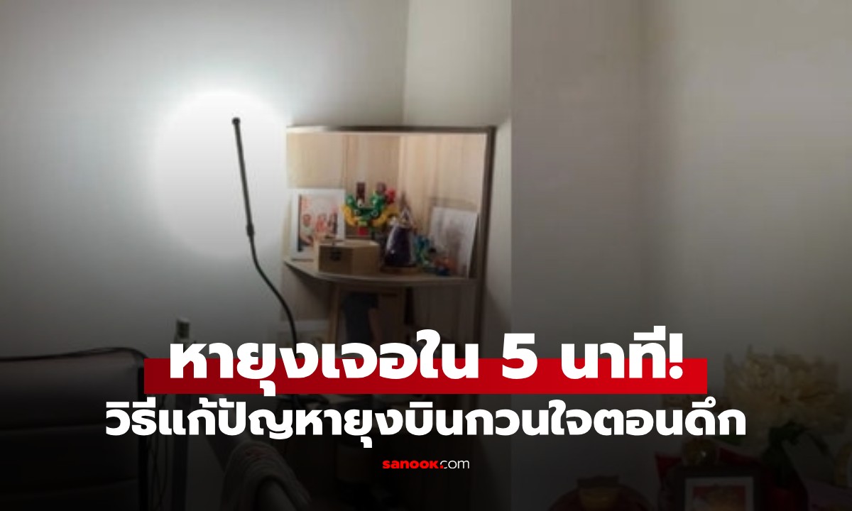 แชร์เทคนิคใช้ "ล่ายุง" ฉบับตัวแม่ แค่ใช้ของที่ทุกคนมี ไม่ถึง 5 นาทีดับอนาถ