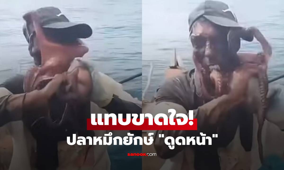 ไวรัลสยอง! ปลาหมึกยักษ์ "ดูดหน้า" ชาวประมงหายใจไม่ออก หนวด 8 เส้นรัดแน่น
