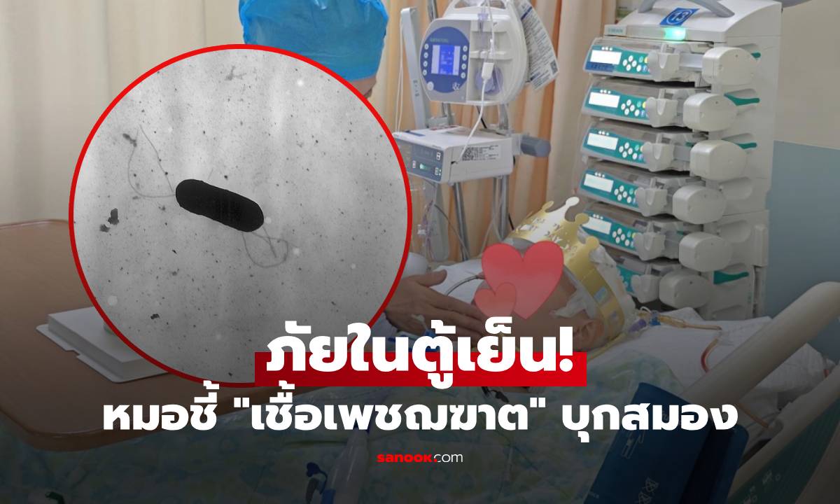 ภัยเงียบในตู้เย็น! สาวปวดหัว 7 วัน ก่อนหัวใจหยุดเต้น หมอชี้ "เชื้อเพชฌฆาต" บุกสมอง