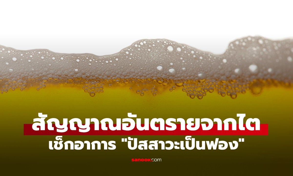 เช็กด่วน! "ปัสสาวะเป็นฟอง" 3 สัญญาณเตือนจากไต ตรง 2 ใน 3 ต้องรีบหาหมอ