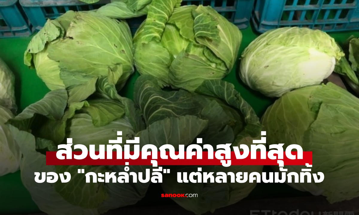 ส่วนนี้ของ "กะหล่ำปลี" มักถูกทิ้งไป! กูรูเผย แท้จริงแล้วมันคือส่วนที่มีคุณค่าสูงที่สุด