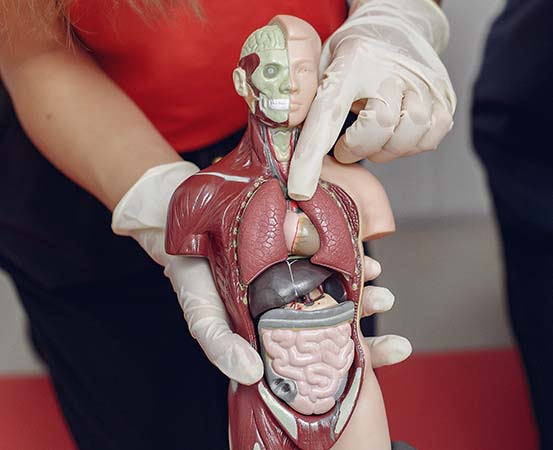 dextrocardia-article-002