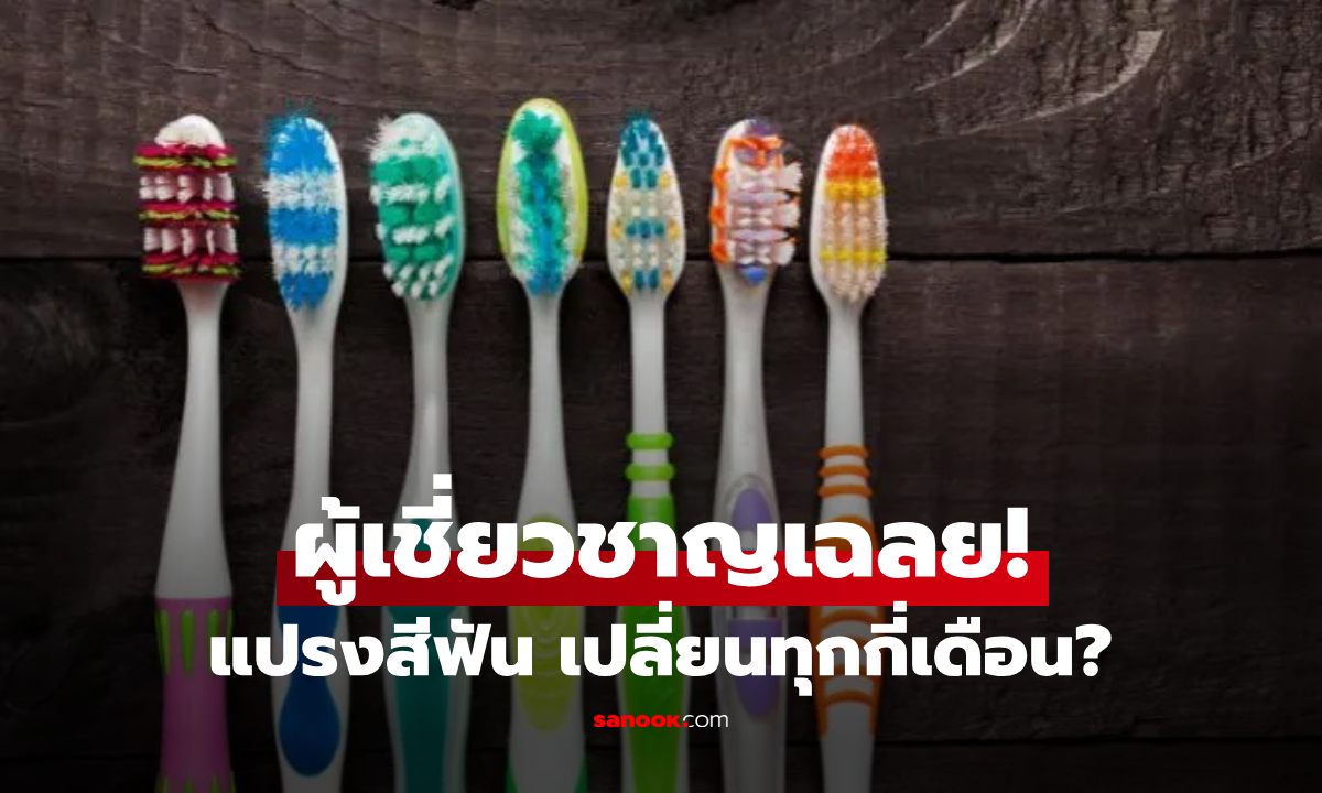 แปรงสีฟันต้องเปลี่ยนทุกๆ กี่เดือน? ผู้เชี่ยวชาญเตือน เจอสัญญาณนี้ต้อง "ทิ้งทันที"