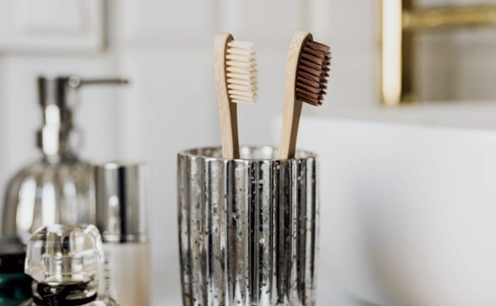 ช็อก! แพทย์ญี่ปุ่นเตือน เก็บแปรงสีฟัน “แนวตั้ง” เพาะเชื้อแบคทีเรีย เผยวิธีที่ถูกต้อง