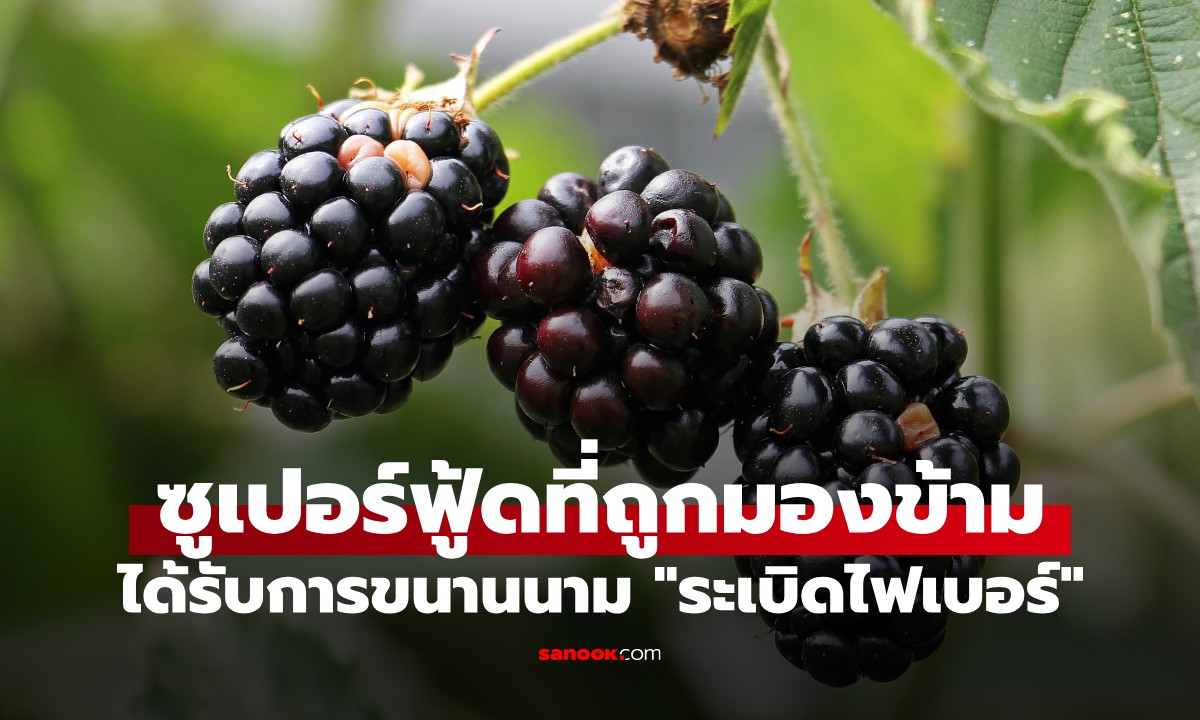 ผลไม้สีดำที่หลายคนมองข้าม ได้ฉายา "ระเบิดไฟเบอร์" ช่วยบำรุงสมอง-ลดริ้วรอย