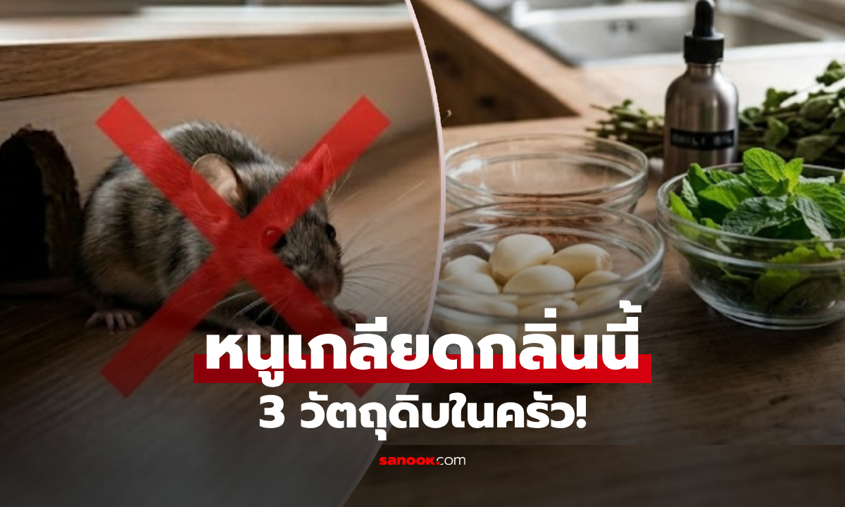 3 วัตถุดิบก้นครัว ตัวแม่เรื่อง "กลิ่น" ไล่หนูกระเจิง ต่างชาติยันเห็นผลจริง ไม่ต้องใช้กับดัก!