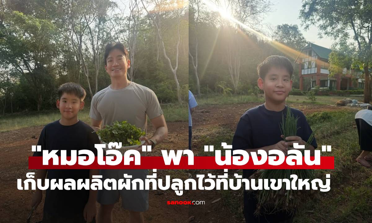 เรียบง่าย! "หมอโอ๊ค" พา "น้องอลัน" เก็บผลผลิตผักที่ปลูกไว้บ้านเขาใหญ่ ทำคนแห่ทักลูกชาย
