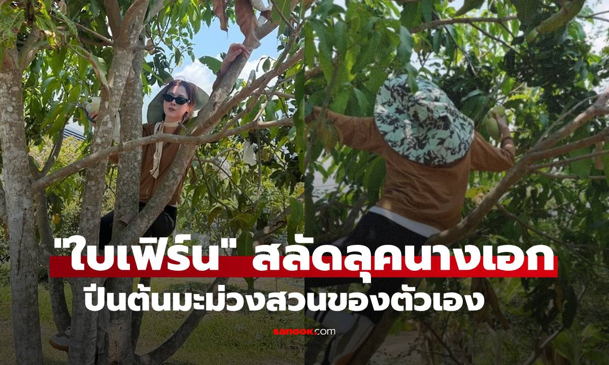 "ใบเฟิร์น พิมพ์ชนก" สลัดลุคนางเอก ปีนต้นมะม่วงเก็บผลผลิตจากสวนของตัวเอง