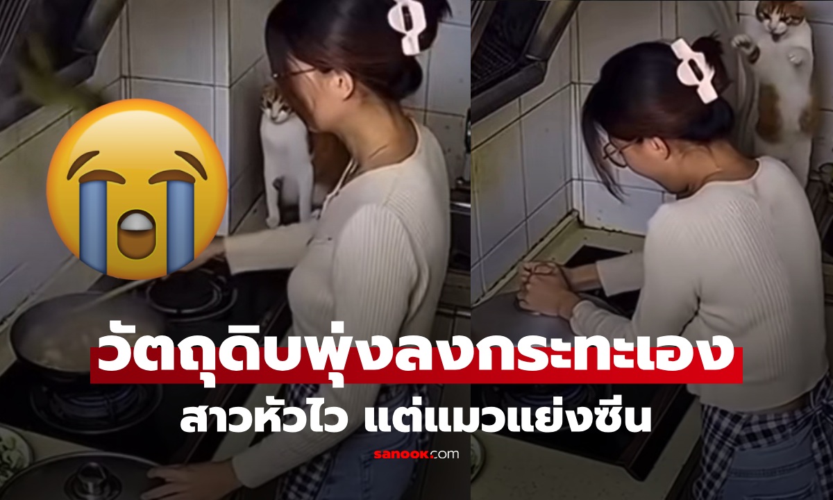 สาวกรี๊ดลั่น! ทำกับข้าวอยู่ดีๆ "วัตถุดิบ" ร่วงลงกระทะ ได้เมนูใหม่ แต่รีแอคแมวแย่งซีนเต็มๆ