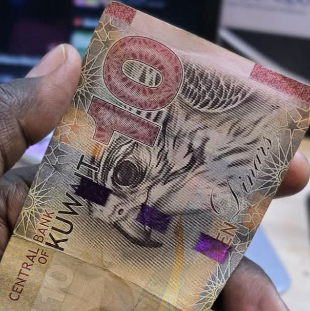 514529126_24044461051852743_2