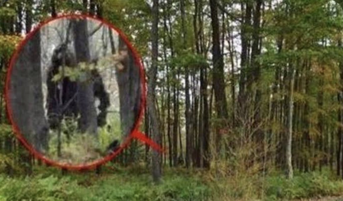 ฮือฮา! สัตว์ประหลาด "หัวเป็นลา ตัวหมาป่า" โผล่หลังหายสาบสูญ 5 แสนปี เฉลยส่อโอละพ่อ!!