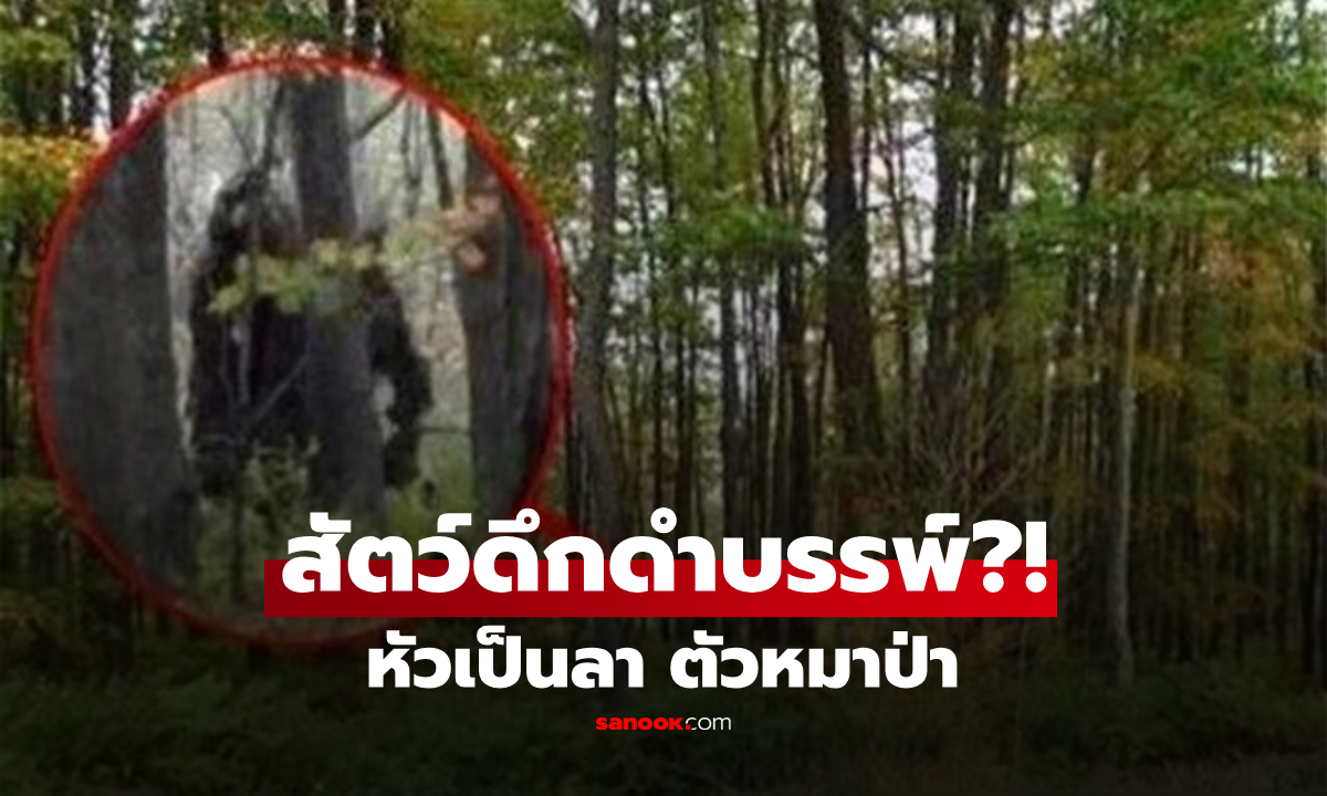 ฮือฮา! สัตว์ประหลาด "หัวเป็นลา ตัวหมาป่า" โผล่หลังหายสาบสูญ 5 แสนปี เฉลยส่อโอละพ่อ!!