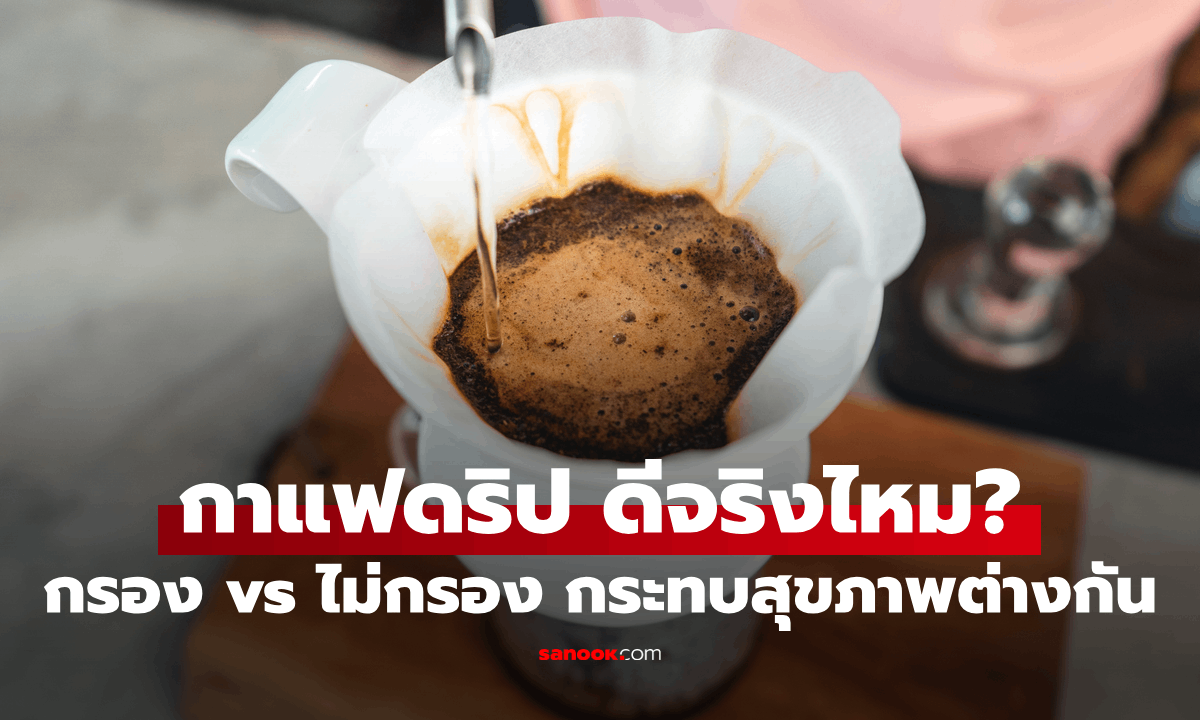 กาแฟดริป ดีจริงหรือไม่? หมอฮาร์วาร์ดชี้ กรอง vs ไม่กรอง มีผลกระทบต่อสุขภาพต่างกัน