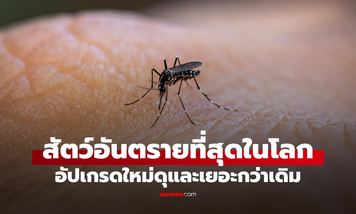 โลกร้อนทำพิษ สัตว์อันตรายที่สุดอันดับ 1 อัปเกรดดุกว่าเดิม แพร่พันธุ์เพิ่มทวีคูณ