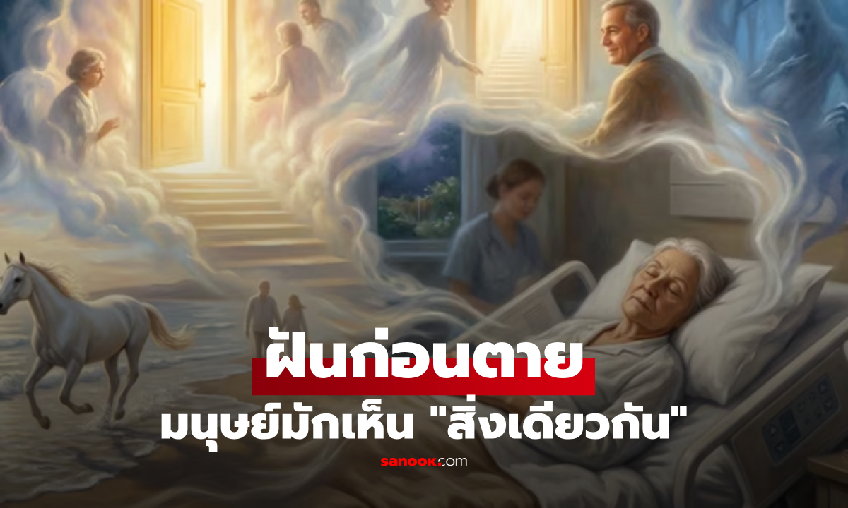 แปลกแต่จริง! 