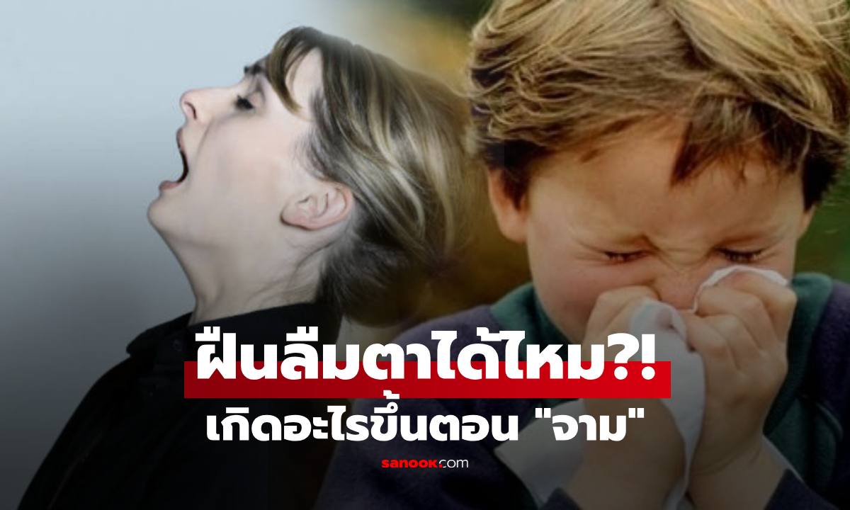 ทำไมเราต้อง "หลับตา" ทุกครั้งที่จาม? พลังแรง 160 กม./ชม. ฝืนเปิดตาไว้จะเกิดอะไรขึ้น?