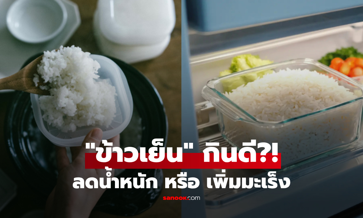 "ข้าวเย็น" กินแล้วผอมหรือก่อมะเร็ง? ไขความลับแป้งทนย่อย สายประหยัด-คนรักสุขภาพต้องรู้!