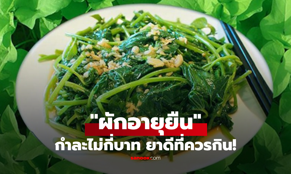 "ผักอายุยืน" กำละไม่กี่บาท! ช่วยล้างลำไส้-บำรุงกระเพาะ-กระตุ้นภูมิ ยาดีที่ยังถูกมองข้าม