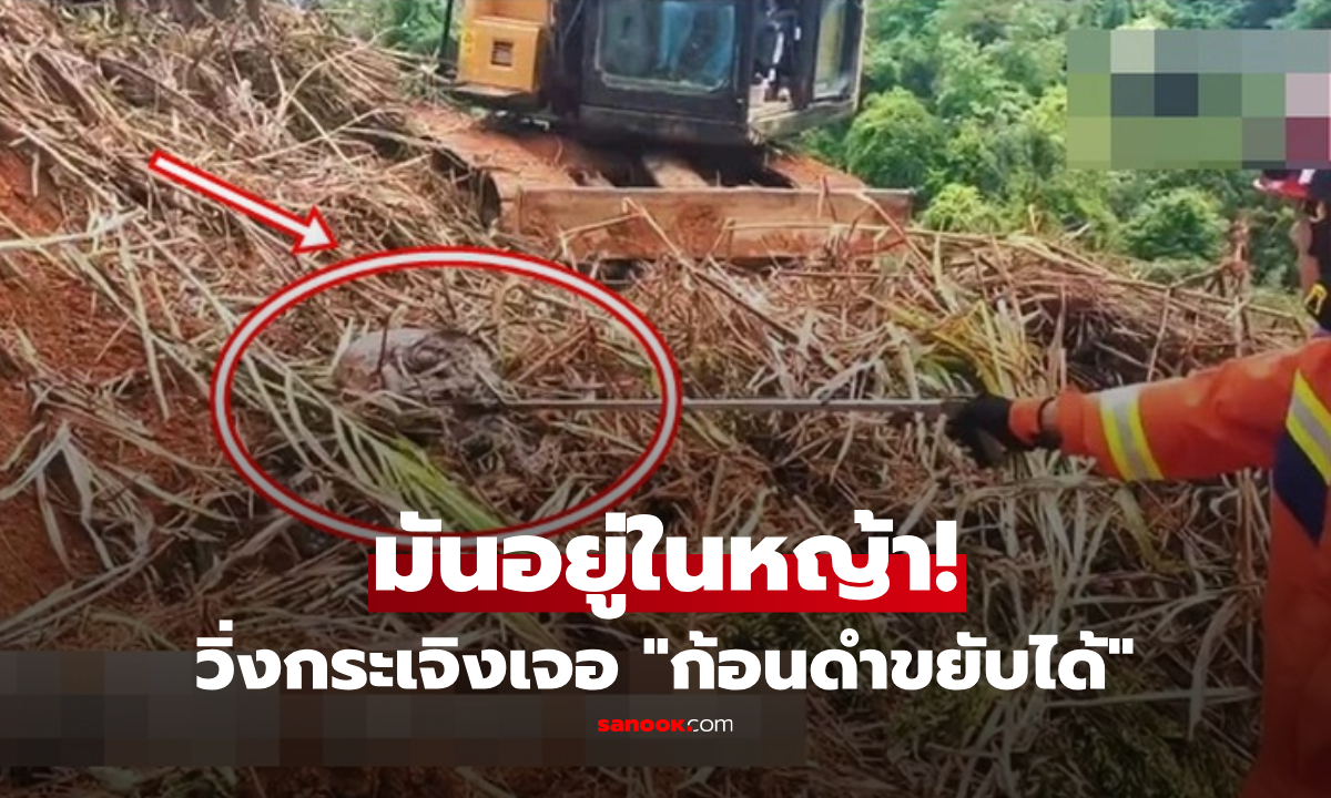 ขนลุกซู่! หนุ่มถางหญ้าเจอ "ก้อนสีดำ" ดิ้นไปมา พอดูใกล้ๆ ถึงกับเผ่นแจ้งกู้ภัยด่วน