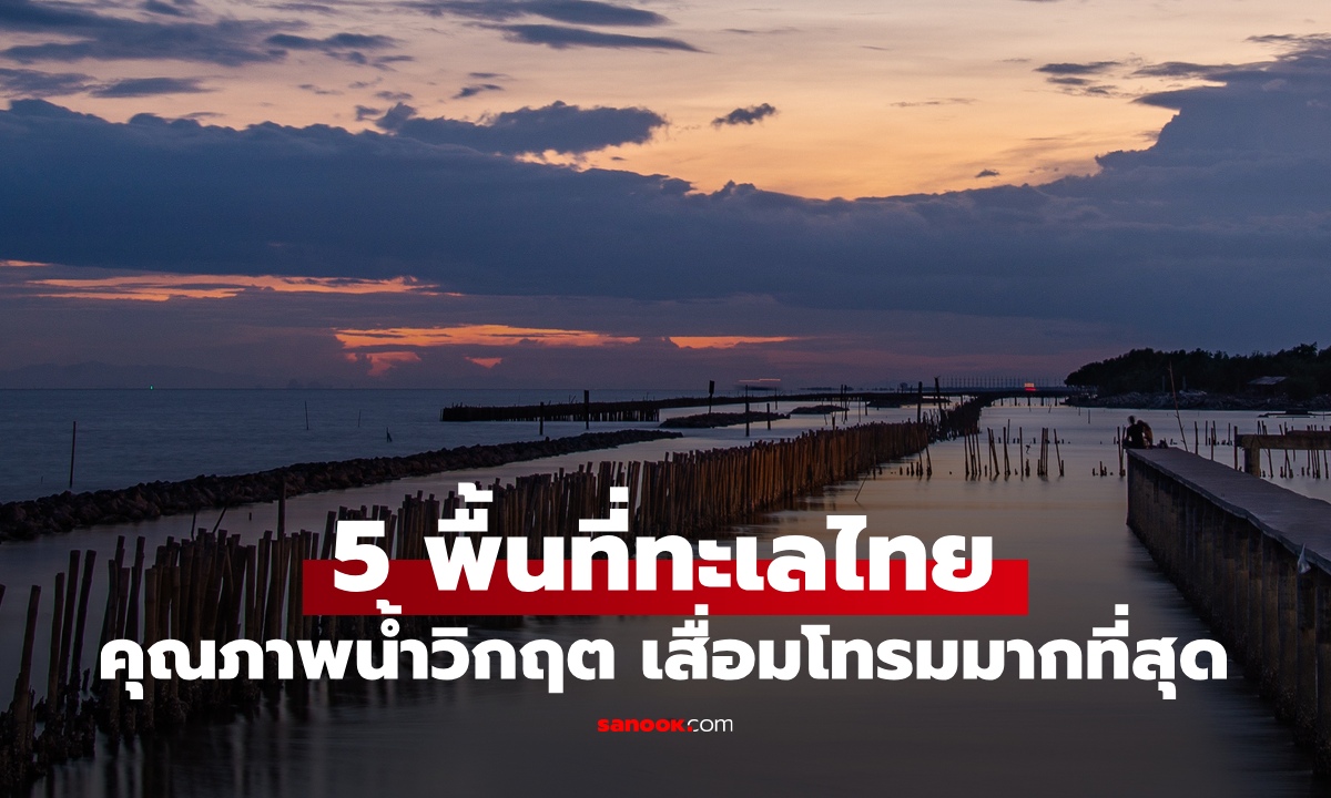 เปิดชื่อ 5 พื้นที่ในไทย น้ำทะเลเสื่อมโทรมมากที่สุด คุณภาพน้ำปนเปื้อนเข้าขั้นวิกฤต