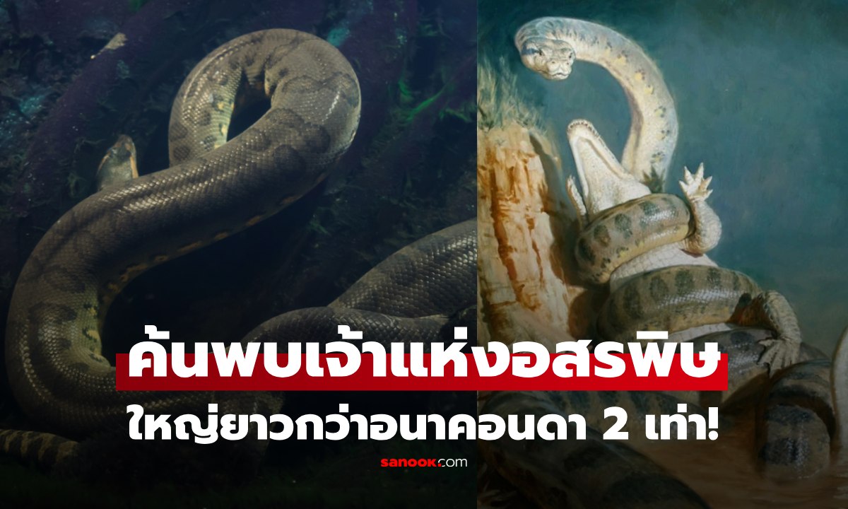 ใหญ่จนไม่น่าเชื่อ! “ค้นพบ "งูยักษ์โบราณ" สุดสะพรึง ใหญ่กว่าอนาคอนดา 2 เท่า