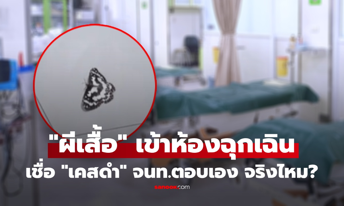 ความเชื่อ "ผีเสื้อ" บินเข้าห้องฉุกเฉิน มักมี "เคสดำ" จนท.เผยสถิติ จริงเท็จแค่ไหน? อ่านแล้วขนลุก!