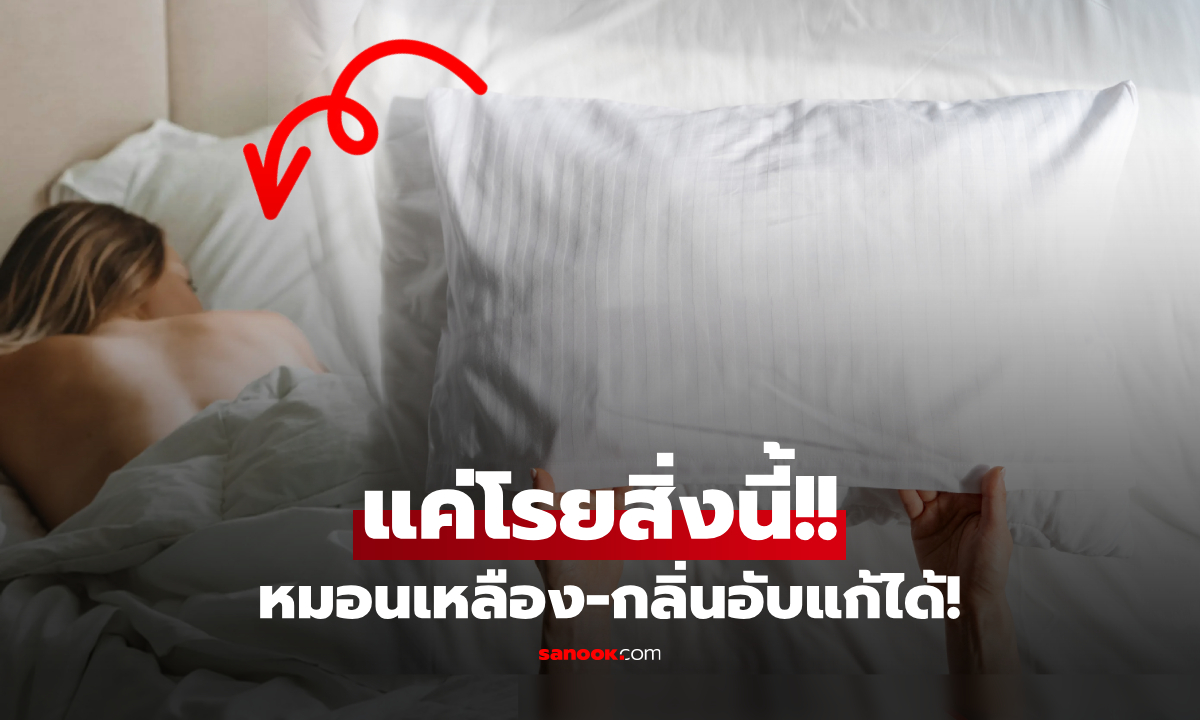 ไม่ง้อแดด! ทริคคืนชีพ "หมอนเหม็นอับ" ให้สะอาดเหมือนใหม่ แค่โรยสิ่งนี้ทิ้งไว้ 30 นาที
