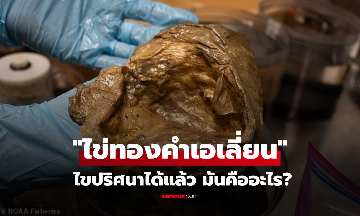 ปริศนา "ไข่ทองคำเอเลี่ยน" ทำชาวโลก-นักวิทย์ฯ มึนตึ้บ 3 ปี เฉลยแล้วคืออะไร!!