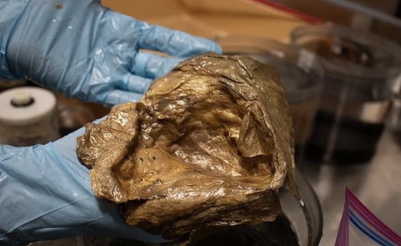 ปริศนา "ไข่ทองคำเอเลี่ยน" ทำชาวโลก-นักวิทย์ฯ มึนตึ้บ 3 ปี เฉลยแล้วคืออะไร!!