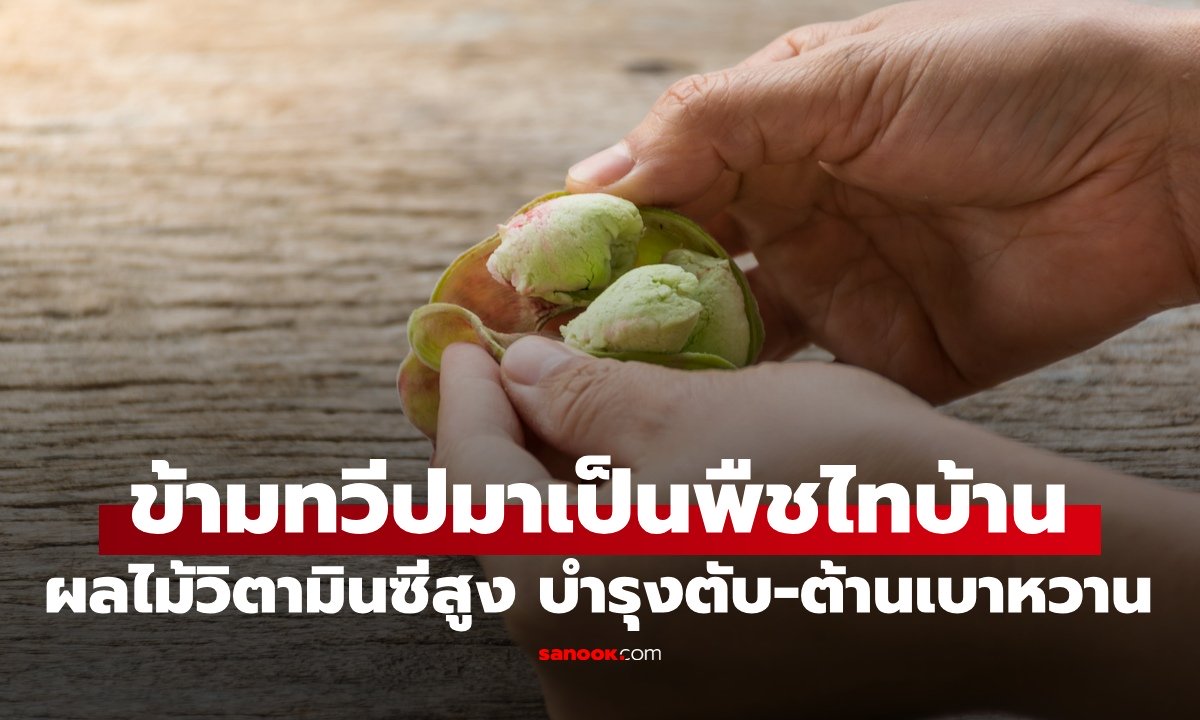 ผลไม้ 1 ชนิด ข้ามทวีปมาเป็นพืชไทบ้าน วิตามินซีสูงปรี๊ด บำรุงตับ-ต้านเบาหวาน