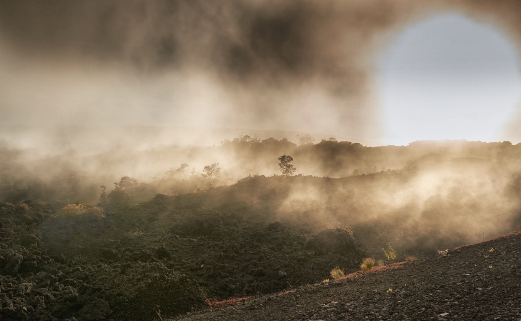 NASA เผยวันสิ้นโลก! สิ่งมีชีวิตสูญพันธุ์เร็วกว่าที่คิดเกือบครึ่ง "โลกขาดใจ" คือจุดจบที่เลี่ยงได้