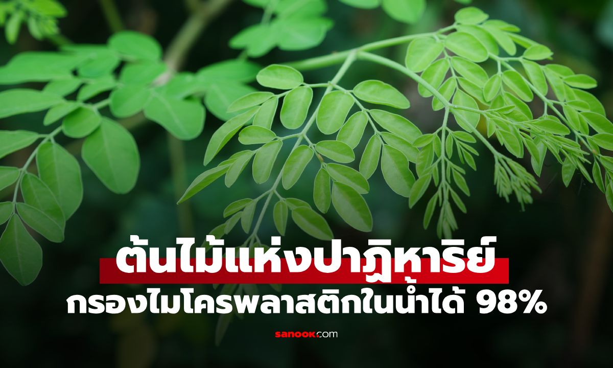 คนไทยรู้จักดี 