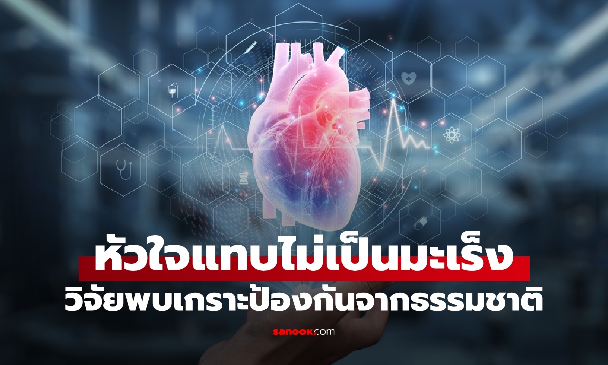 ทำไม "หัวใจ" แทบไม่เป็นมะเร็ง? วิจัยพบ "กุญแจลับ" หยุดการแบ่งตัวของเซลล์