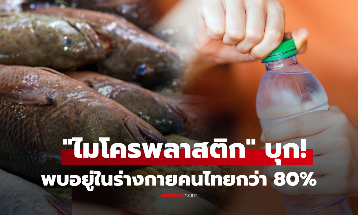 อยู่ยากแล้ว! ผลวิจัยพบ "ไมโครพลาสติก" ในร่างกายคนไทยกว่า 80% ช็อก ตัวการอยู่ใกล้ตัวทั้งนั้น!!