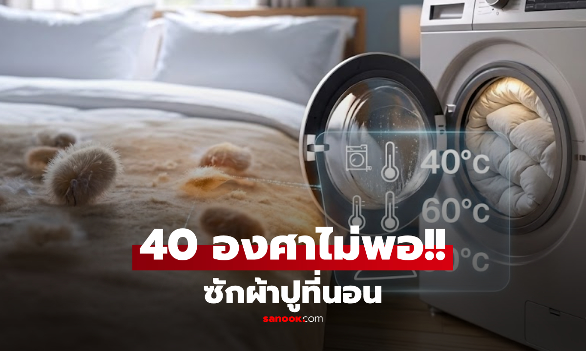 ซักผ้าปูที่นอนอุณหภูมิเท่าไหร่ดี? นักวิจัยเตือน 40 องศาฯ ยังไม่พอฆ่าไรฝุ่นตัวร้าย!