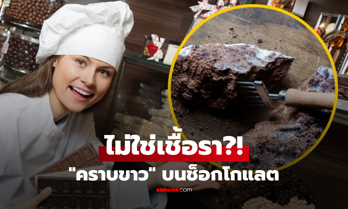 เชฟเผยความจริง “คราบขาวบนช็อกโกแลต” คืออะไรกันแน่? ควรทิ้งทันทีหรือยังกินดีอยู่
