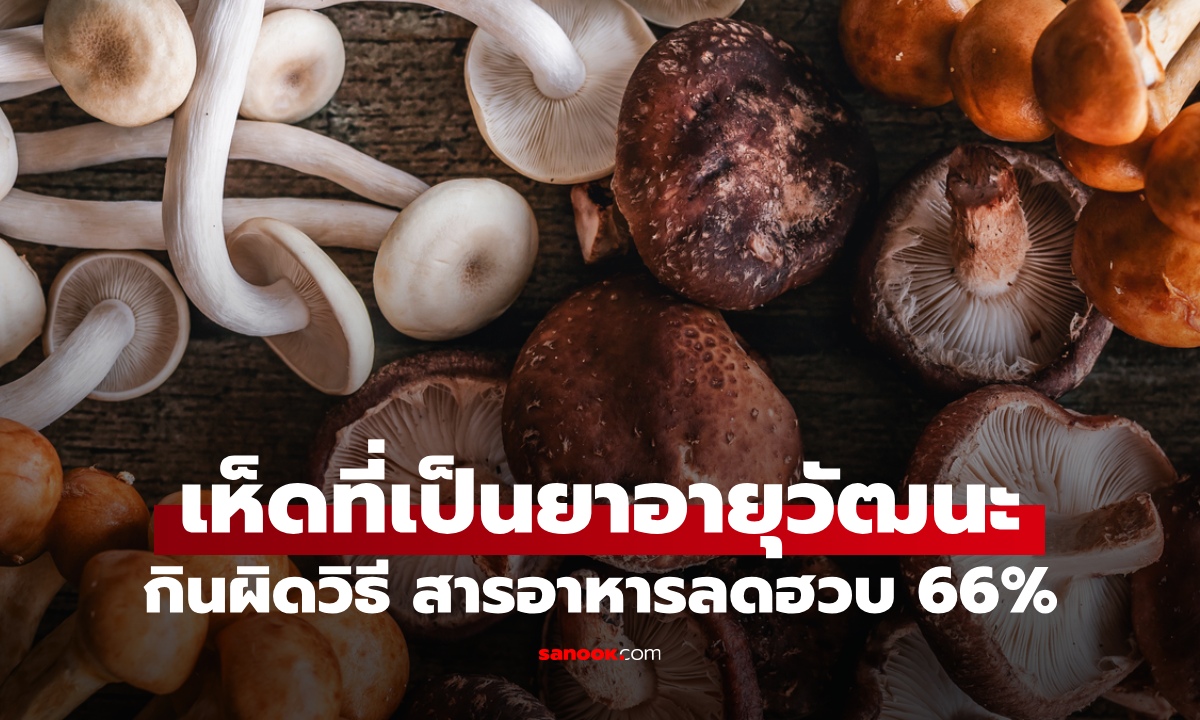 เห็ดเจ้าของฉายา "ยาอายุวัฒนะ" หลายคนกินผิดวิธี สารอาหารลดฮวบ 66%