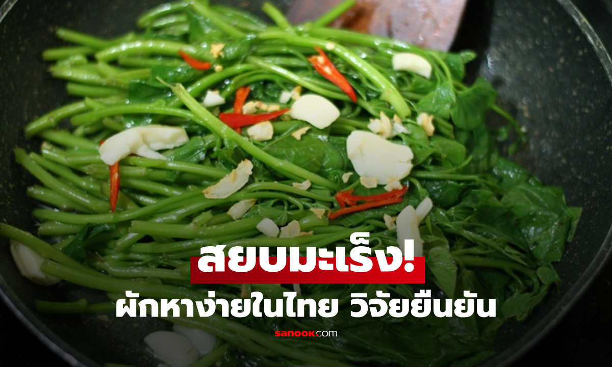 คนไทยรู้ยัง?! ผักริมรั้วหาง่าย วิจัยสหรัฐฯ พบมีฤทธิ์ "สยบเซลล์มะเร็ง" ปอด-เต้านม