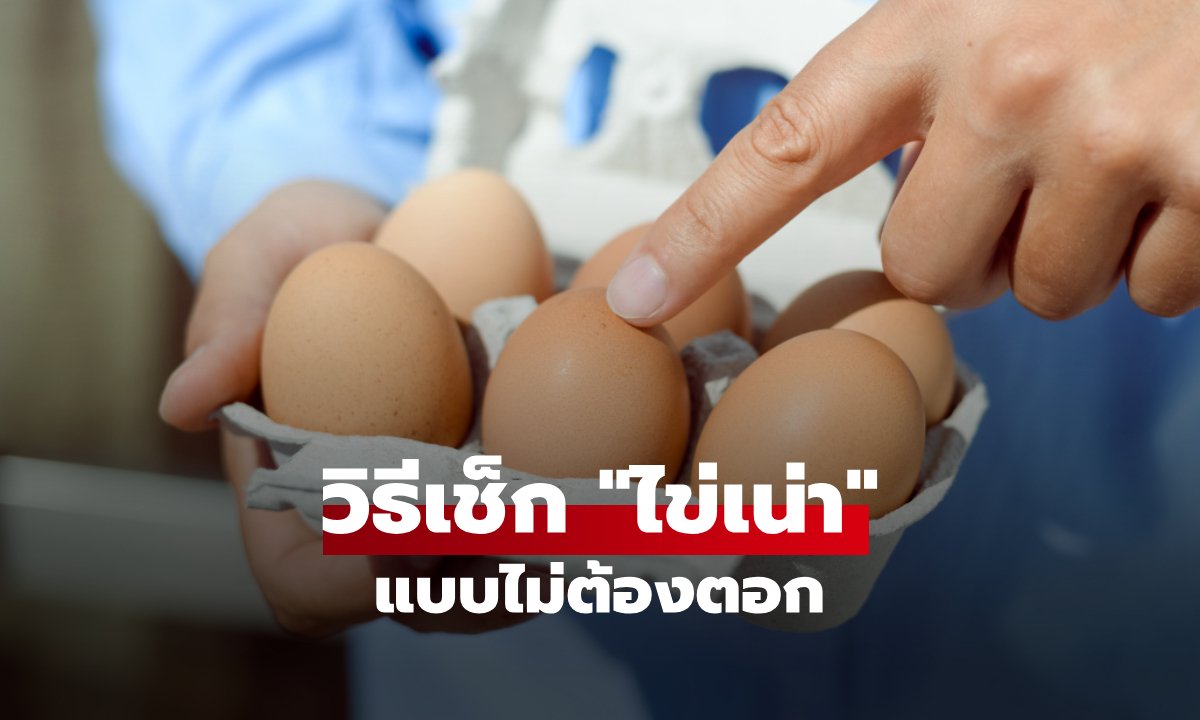 วิธีเช็ก "ไข่เน่า" แบบไม่ต้องตอก รู้ชัดใน 3 วินาที เปลือกสวยๆ ข้างในเสีย?!!