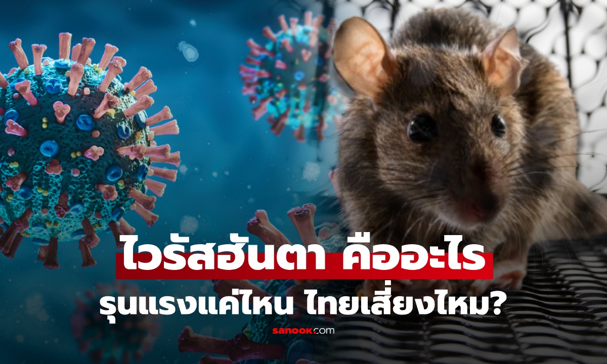 ไวรัสฮันตา คืออะไร? เปิดอาการ-วิธีติดต่อ ล่าสุด กรมควบคุมโรคตอบแล้ว ไทยเสี่ยงไหม?
