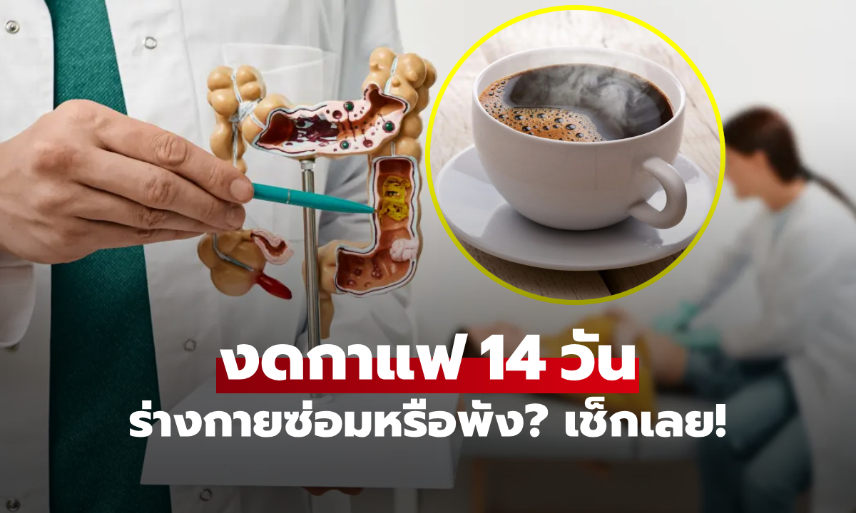 "ลำไส้-สมอง" เมื่อหักดิบกาแฟ 14 วัน ภูมิคุ้มกันพุ่งหรือร่วง? วิจัยล่าสุดมีคำตอบที่คาดไม่ถึง!!