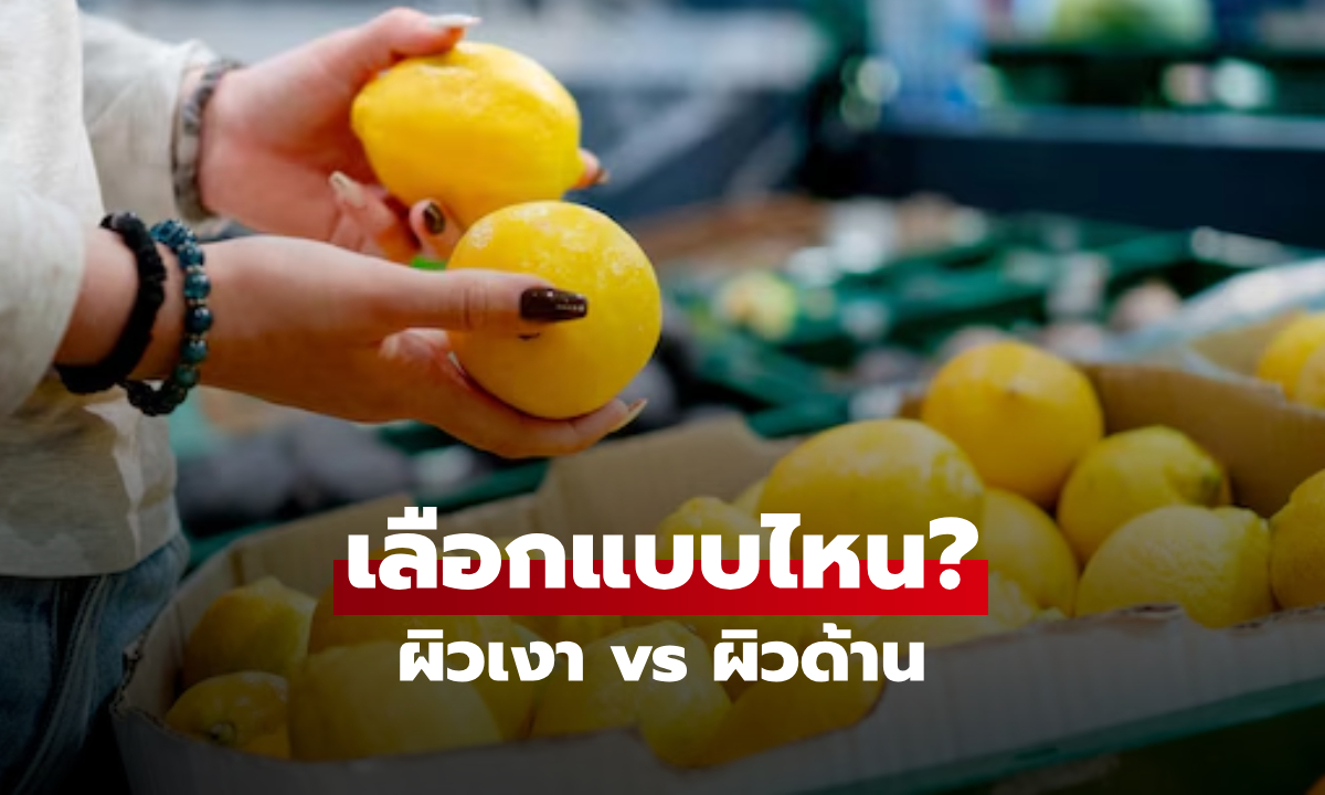 กูรูเฉลยแล้ว!! เลือกเลมอน ผิวเงาวับ vs ผิวด้าน แบบไหนได้คุณภาพดีที่สุด?