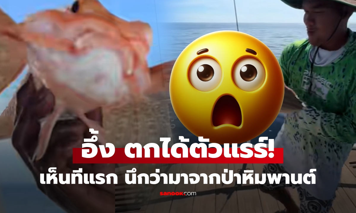 ชาวประมงอึ้ง! ดึงเบ็ดขึ้นเจอ "ปลา" สวยเแปลก เหมือนมาจากป่าหิมพานต์ ที่แท้เป็นตัวแรร์ใต้ก้นทะเล