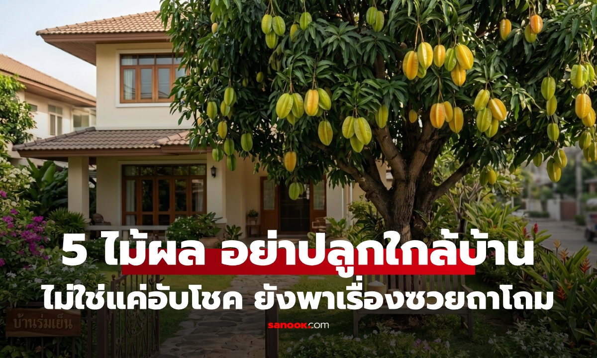 5 ไม้ผล ที่ควรปลูกให้ไกลจากบ้าน ไม่ใช่แค่อับโชค แต่อาจพาความซวยถาโถมไม่รู้ตัว