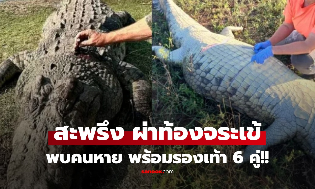 ผวาทั้งเมือง กู้ภัยผ่าท้องจระเข้ป่องผิดปกติ พบร่างชายที่ถูกน้ำซัดหาย พร้อมรองเท้าอีก 6 คู่!!